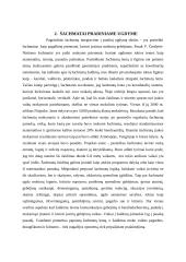 Šachmatų naudojimas pradinėje mokykloje 4 puslapis