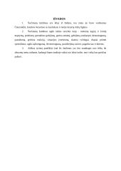 Šachmatų naudojimas pradinėje mokykloje 5 puslapis