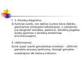 Sandėlių funkcijos 13 puslapis