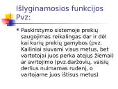 Sandėlių funkcijos 3 puslapis