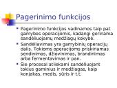 Sandėlių funkcijos 9 puslapis