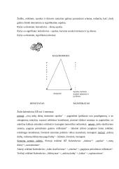Žodžio "kalendorius" leksikologinis nagrinėjimas 3 puslapis