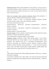 Žodžio "kalendorius" leksikologinis nagrinėjimas 4 puslapis