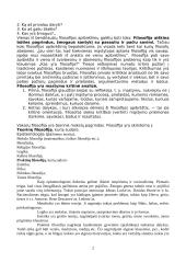 Vakarų filosofijos kilmė 2 puslapis