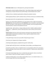 Viduramžių filosofija 3 puslapis