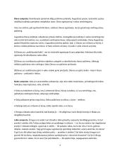 Viduramžių filosofija 4 puslapis