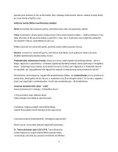 Viduramžių filosofija 6 puslapis