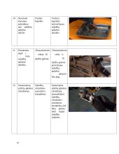 Praktikos ataskaita. Automobilių techninės priežiūros ir remonto įmonė 11 puslapis