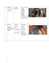 Praktikos ataskaita. Automobilių techninės priežiūros ir remonto įmonė 12 puslapis