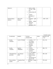 Praktikos ataskaita. Automobilių techninės priežiūros ir remonto įmonė 15 puslapis