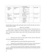 Praktikos ataskaita. Automobilių techninės priežiūros ir remonto įmonė 16 puslapis