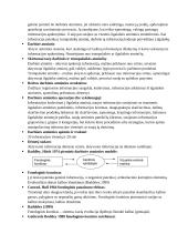 Psichologija. Atminties konspektas 18 puslapis