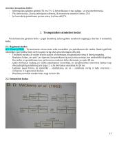 Atmintis -  konspektas 17 puslapis