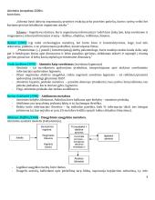 Atmintis -  konspektas 4 puslapis