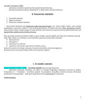 Atmintis -  konspektas 7 puslapis