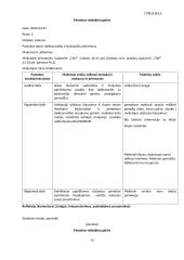 Pedagogo praktika globojant mentoriui 11 puslapis