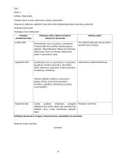 Pedagogo praktika globojant mentoriui 13 puslapis