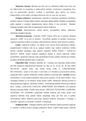 Pedagogo praktika globojant mentoriui 15 puslapis