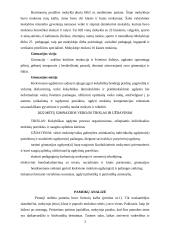 Pedagogo praktika globojant mentoriui 2 puslapis