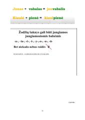 Pedagogo praktika globojant mentoriui 20 puslapis
