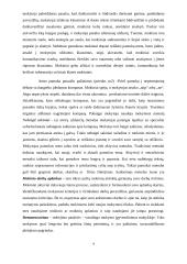 Pedagogo praktika globojant mentoriui 3 puslapis