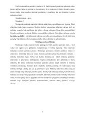 Pedagogo praktika globojant mentoriui 4 puslapis