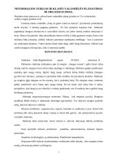 Pedagogo praktika globojant mentoriui 6 puslapis