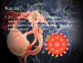 ŽIV ir AIDS (skaidrės) 2 puslapis