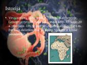 ŽIV ir AIDS (skaidrės) 4 puslapis