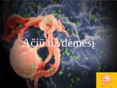 ŽIV ir AIDS (skaidrės) 8 puslapis