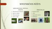 Nykstančios ir invazinės rūšys Lietuvoje 3 puslapis