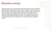 Hipotekos agentūros 2 puslapis