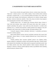 Valstybės skola - priežastys ir pasekmės 5 puslapis