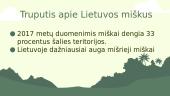 Lietuvos miškai (skaidrės)