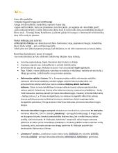 Autorių konspektas su kontekstais 2 puslapis