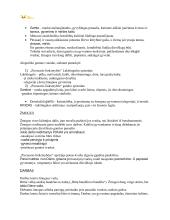 Autorių konspektas su kontekstais 13 puslapis