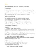 Autorių konspektas su kontekstais 14 puslapis