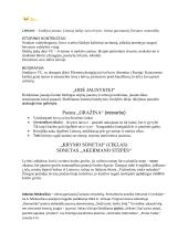 Autorių konspektas su kontekstais 19 puslapis