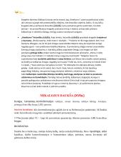 Autorių konspektas su kontekstais 3 puslapis