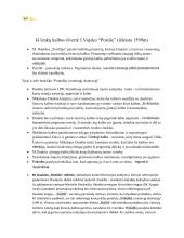 Autorių konspektas su kontekstais 4 puslapis