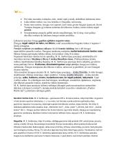 Autorių konspektas su kontekstais 10 puslapis
