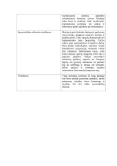 Dailės pamokos planas: graikų vazos 13 puslapis