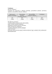 Dailės pamokos planas: graikų vazos 4 puslapis