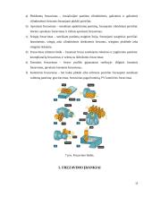 Medienos frezavimo įrenginiai ir įrankiai 11 puslapis