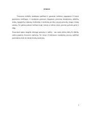 Medienos frezavimo įrenginiai ir įrankiai 2 puslapis