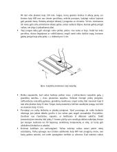 Vaikų žaidimo aikštelė 11 puslapis