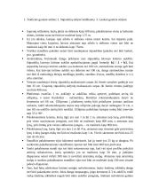 Vaikų žaidimo aikštelė 5 puslapis