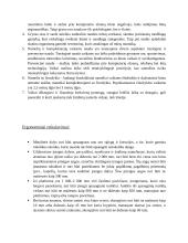 Vaikų žaidimo aikštelė 9 puslapis