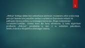 Nacionalinės teisėsaugos institucijos palyginimas su pasirinktos valstybės atitinkama teisėsaugos institucija 11 puslapis