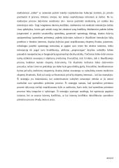Interesų konfliktai 20 puslapis